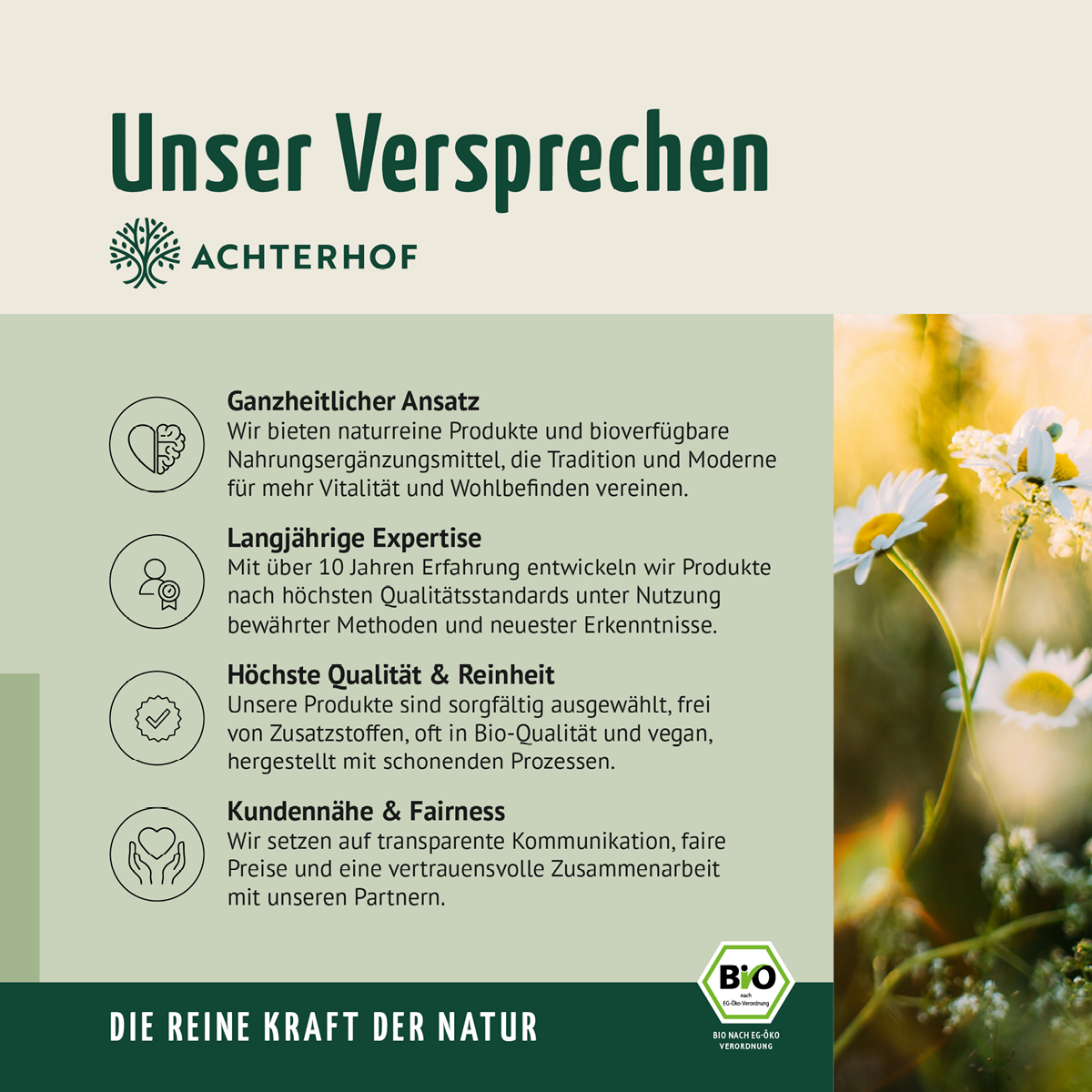 Bio Ananas Fruchtpulver (100g)
