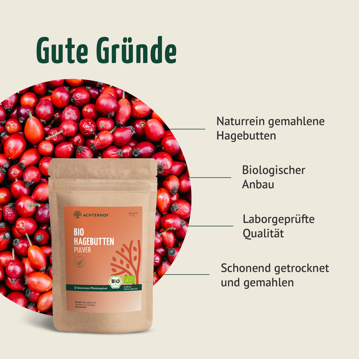 Goldene Milch Mischung 4er Bio Set – Maxi