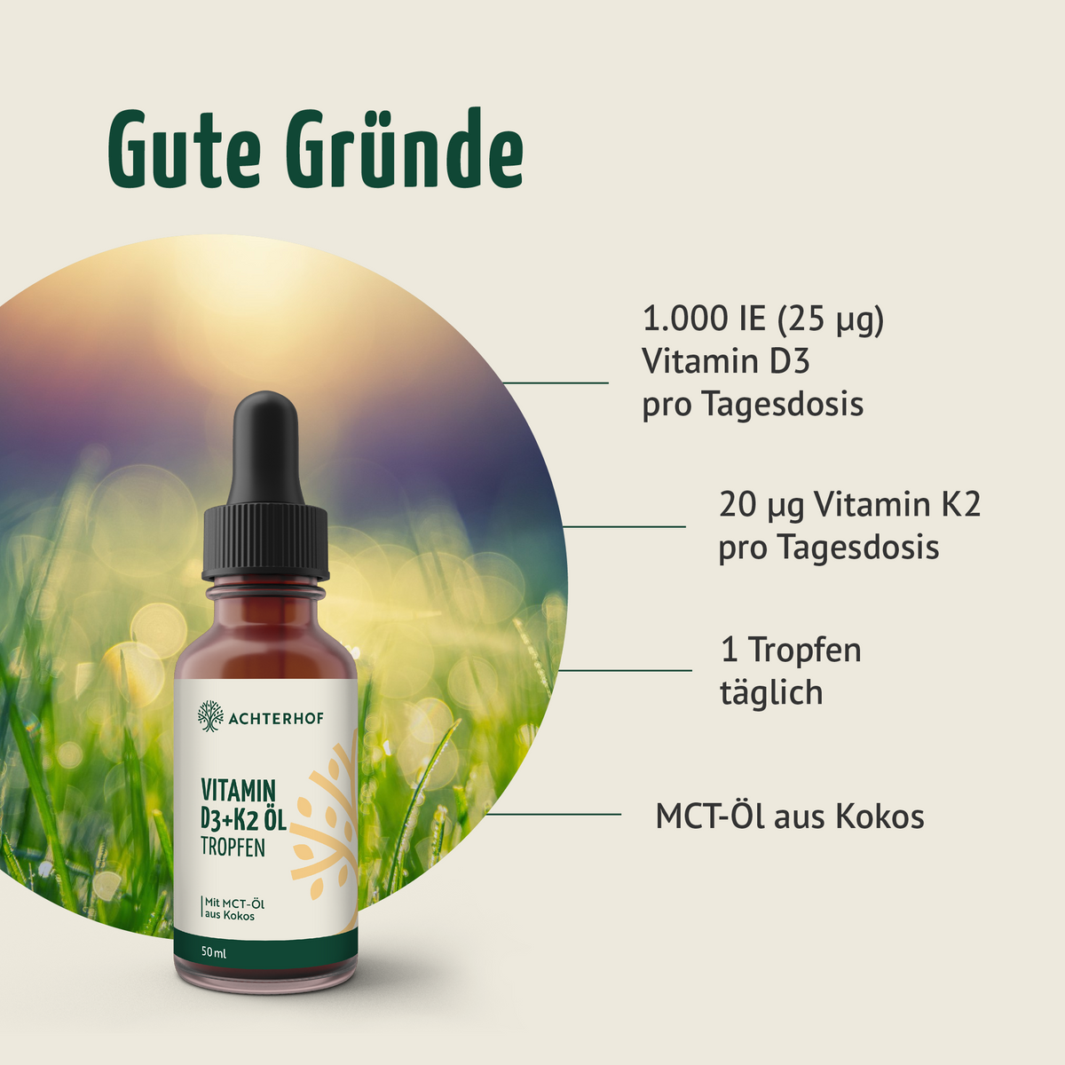 Fit durch den Herbst Klassiker Set