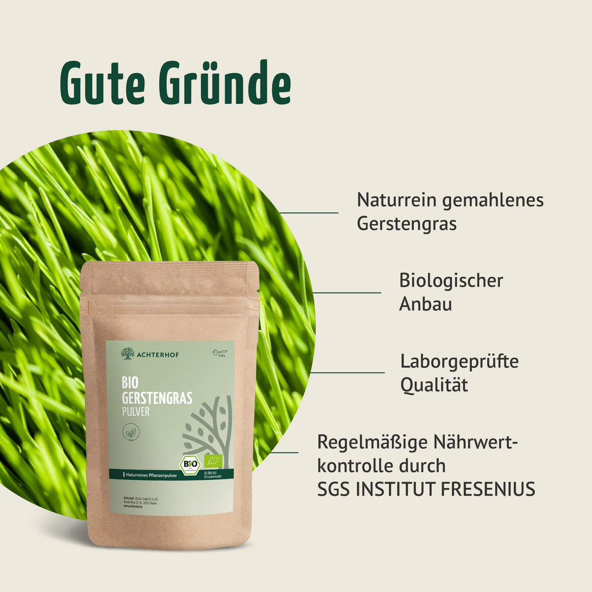 Goldene Milch Mischung 4er Bio Set – Maxi