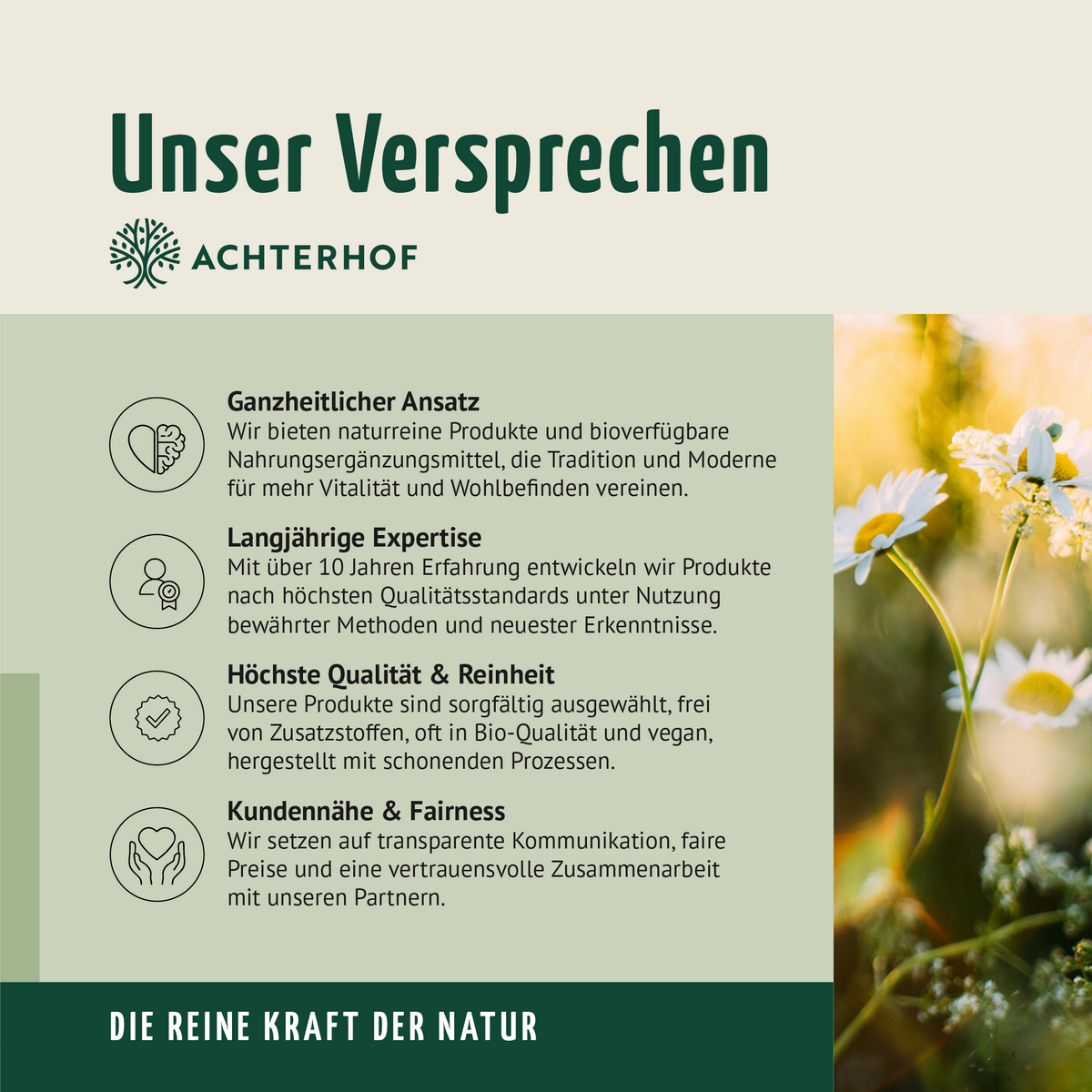 Fasten Mikronährstoff Paket