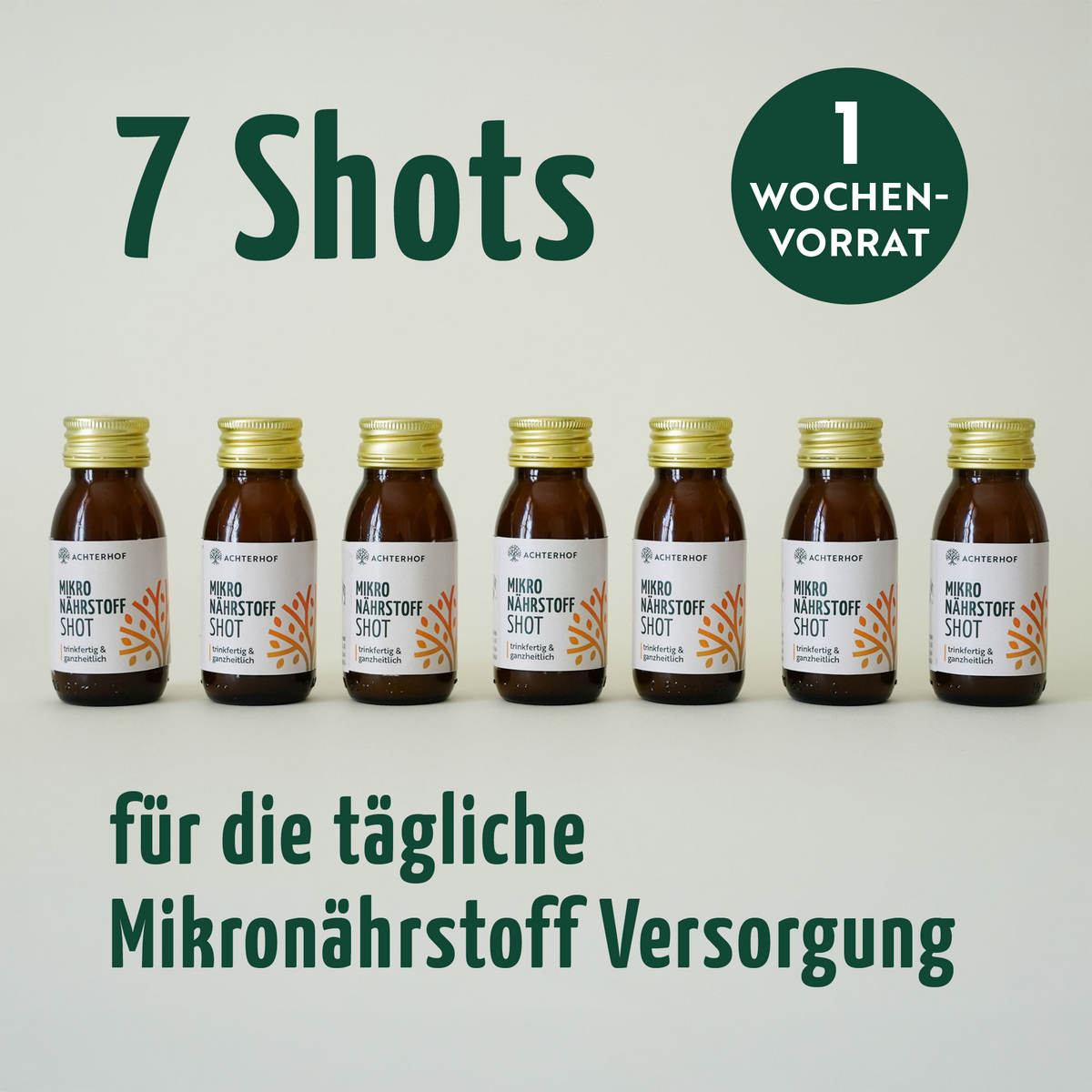 Fasten Mikronährstoff Paket