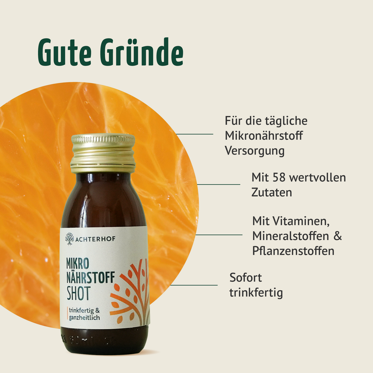 Fasten Mikronährstoff Paket