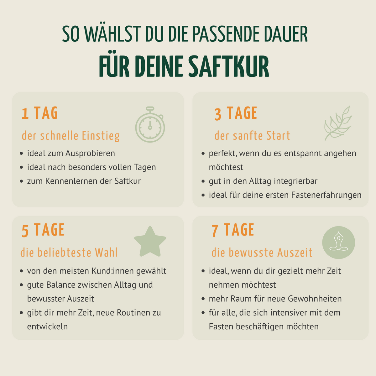 Saftzeit Bio Fastenkur 7 Tage (42 Flaschen)