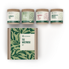 Tee Weltreise Set